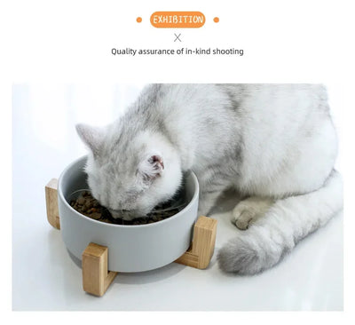 Ceramic Dog Feeding Bowl Pet Feeder Goods For Cats