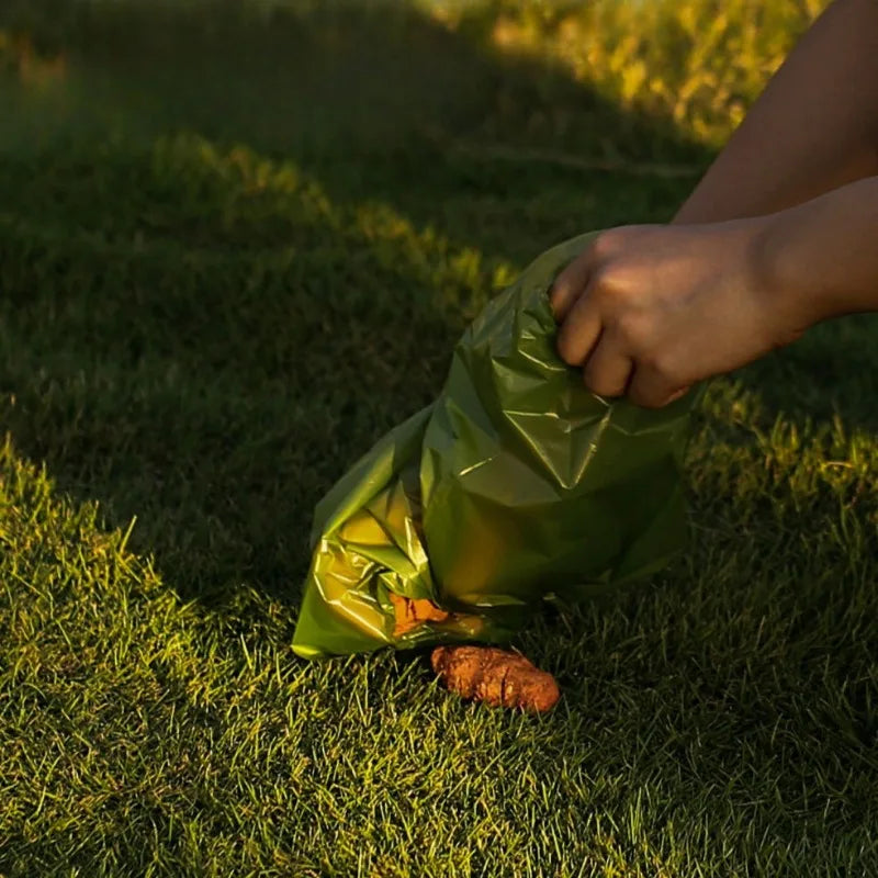 Dog Poop Collection Bag Easy Tear Portable Dogs Poop Picking Bags