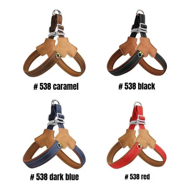 Dog Collar Leash Harness Pet Small Collars Puppy Supplies Adjustable