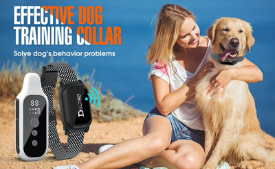 800m Digital Dog Training Collar Waterproof Rechargeable Remote