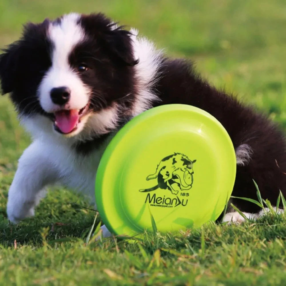 Dog Training Disc - Durable Pet for Puppy & Adult Dog Training,