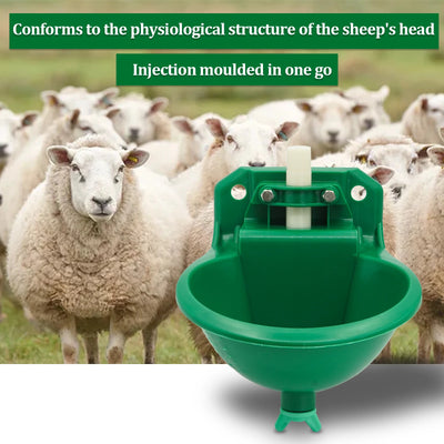 Livestock Sheep Goat Automatic Drinker Bowl