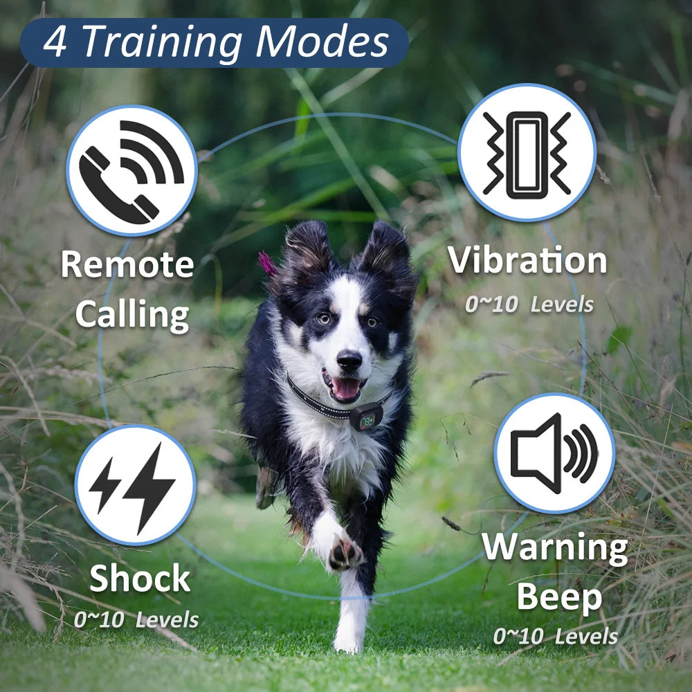 Dog Training Collar 6500FT with Remote Innovative IPX7 Waterproof