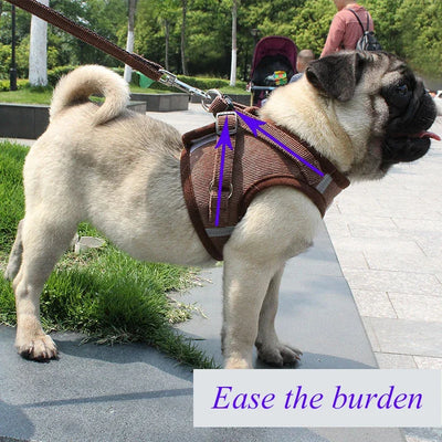 Dog Harness Leash Adjustable Vest Walking Soft Breathable Collar