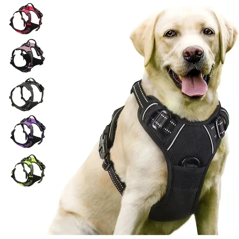 Dog Collars Harness Big Vests Leash Pet Shop Everything for Dogs