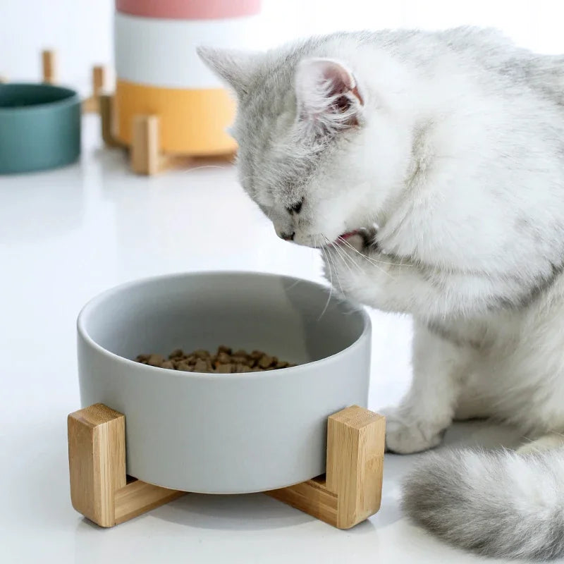 Ceramic Dog Feeding Bowl Pet Feeder Goods For Cats