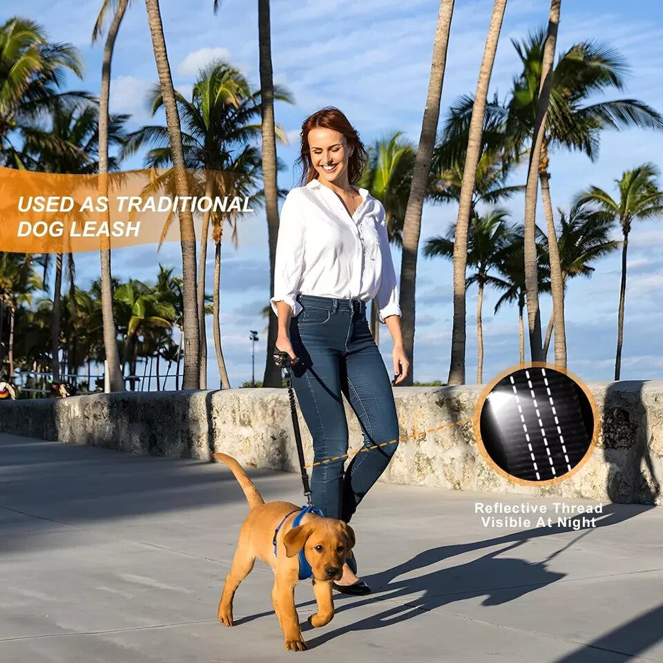 2 Packs Dog Seat Belt for Car, Upgrade 3-In-1 Dog Seatbelt with Adjustable Metal