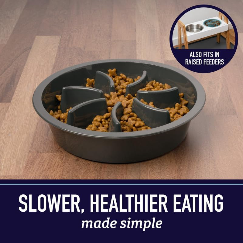 Slow Feeder Dog Bowls - Nonslip Slow Feeder Insert, Healthy Eating Dog Food Bowl, Includes Puppy Essentials Placemat & Star Mold, 2 Cup, Gray